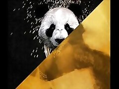 Desiigner vs. Someone's skin violates - Panda Give away Mentally Gone (JLENS Edit)